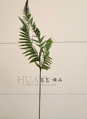 仿真蕨类植物叶子波斯草肾蕨装饰摆件设计感绿植假花狼尾蕨芒萁