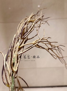 悬挂垂吊植物仿真斑节竹绿植芦苇草段竹节草木贼装饰摆件花艺摆设