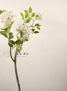 仿真九里香丁香花迎春花家居插花素材绿植造景茉莉花绿叶枝条