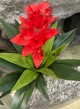 仿真植物手感保湿鸿运当头花箱装饰造景隔断绿化园林景观绿植