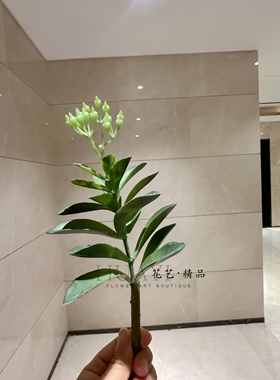 仿真多肉植物造景摆件绿植兰花轻奢风摆设花艺