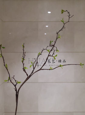 仿真绿叶枝条嫩芽柳条简约室内装饰假花现代风格摆件树枝枯枝