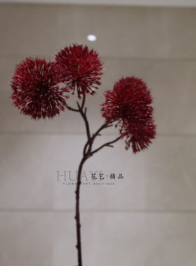 红色蒲公英球仿真毛球洋葱球红色花艺素材装饰插花配材唯美球形