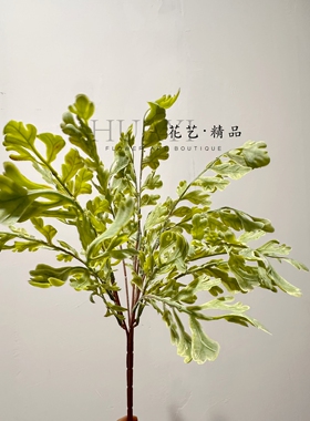 渐变粉灰色植株仿真卷蕨秋款叶材拍摄道具淡雅红橡树枝叶栎树叶