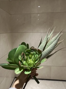 仿真多肉植物组合摆件园林景观枯山水造景宝莲花芦荟绿植