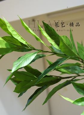 仿真绿叶枝条北欧简约家居装饰摆件黄金叶柳桃叶植物盆景观叶植物