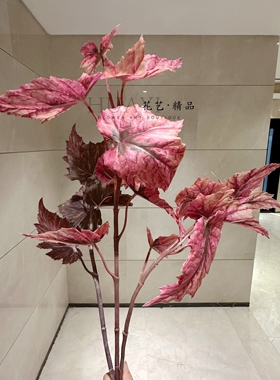 粉芋叶大彩叶枝条仿真热带植物春雨叶海棠番薯叶插花素材绿植