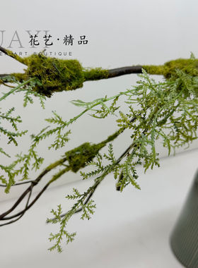小清新仿真植物枝条枯枝青苔树枝绿色花艺装饰桌面造景树藤枯藤
