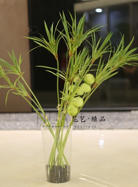 水草植物高枝线条型美陈道具仿真绿植泡泡果唐棉野果浆果芦苇