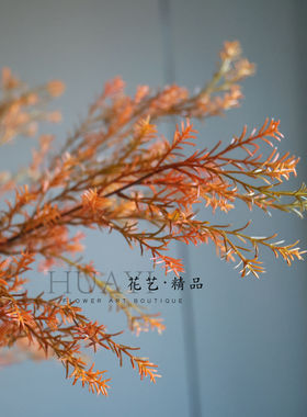 仿真红松草天门冬草秋叶枝条橙黄色装饰花艺摆件桌面客厅假花