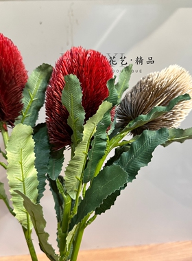 南非公主花帝王花仿真花室内造景客厅摆件澳洲蓟花装饰花
