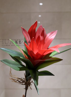 红色仿真凤梨花假花家居装饰绿植摆件客厅君子兰鸿运当头朱顶红