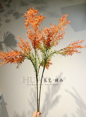 花艺精品千层金天门冬单只