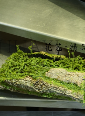 木桩苔藓仿真树桩木头段造型美陈道具拍摄素材植物造景软装摆件