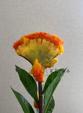 鸡冠花仿真花装饰摆件氛围感桌面花艺花艺素材婚礼道具花束