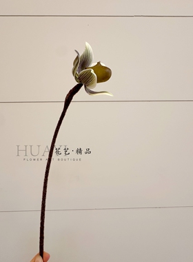 现代简约仿真兰花束手兜兰装饰高枝线条型兰花果花艺摆件创意装饰