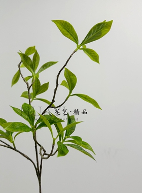 仿真绿植马醉木日式吊钟