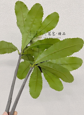 手感保湿带叶南非大班克木仿真公主花帝王花花艺道具装饰布置
