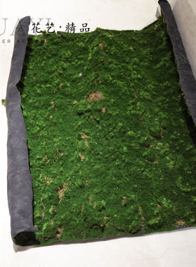 仿真青苔草坪草皮苔藓微景观绿色山丘毛石头拍摄背景植物墙造景