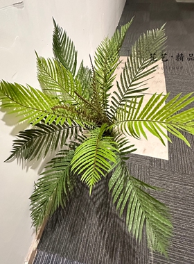 仿真蕨类植物盆栽室内装饰绿植北欧简约风格摆件铁树叶凤尾竹