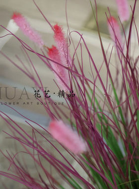 仿真粉紫色芒草芦苇草狗尾草兔尾草室内装饰摆件造景装饰