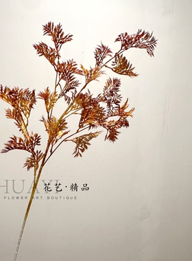 中古风复古咖色枝条含羞草松草雾凇仿真花枝婚庆礼堂拍摄道具绿植