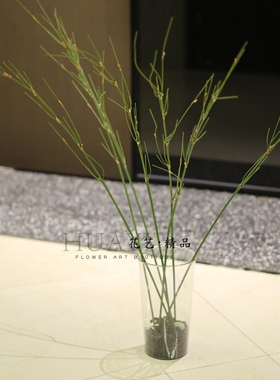 仿真竹子植物装饰摆件线条型小树枝绿植假花斑节竹木贼插花枝条