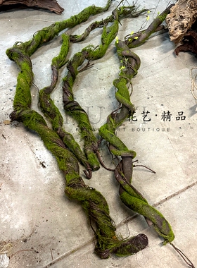 绿植藤条树枝藤蔓造景布景室内装饰枯枝仿真树藤苔藓青苔假枯藤