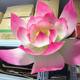 Новый лотос из бумаги, цветок, крепированная бумага, полуфабрикаты, лепестки, ручная работа, имитация лотоса, декоративный фон, макет
