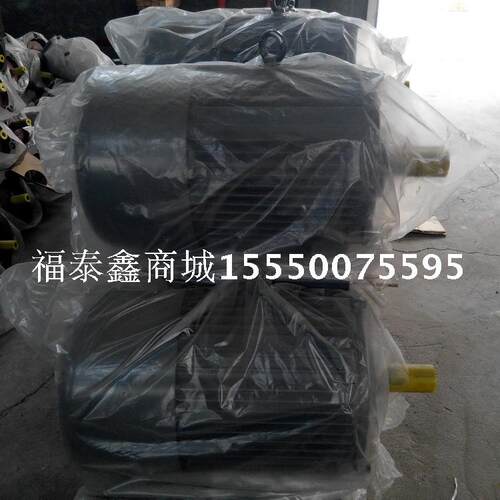 潍坊一厂YZTD225M2-4/8/32-24/24/5.4KW塔机提升电机 塔吊配件 - 图2
