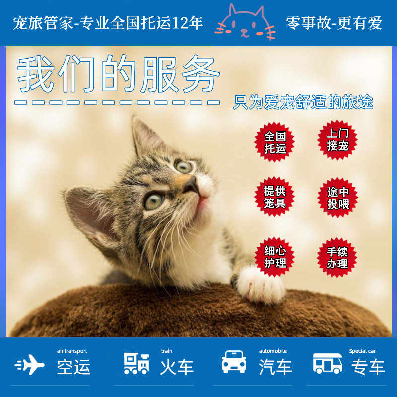 香港的火車 新人首單立減十元 22年10月 淘寶海外