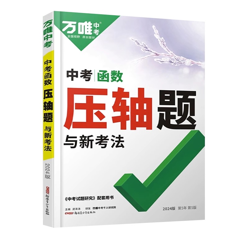 【杭州发货】2024万唯中考数学物理化学压轴题初中几何二次函数初三初二八九年级初中几何复习资料书中考专题训练万维初中数学函数-图3