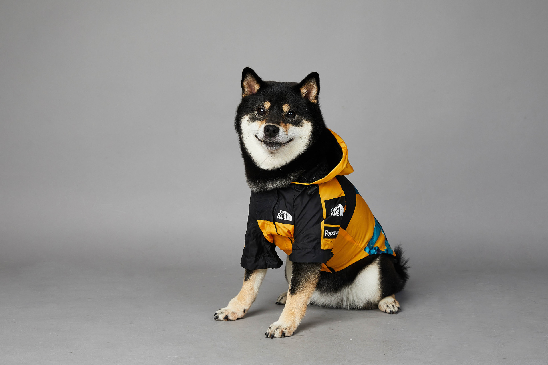 中大型犬雨衣防风防雨新款狗狗防水冲锋衣哈士奇金毛边牧雨衣-图2