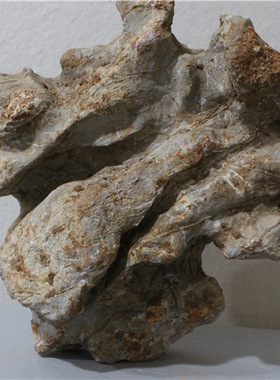 精品灵璧石象形石人物石天然奇石原石毛石未刷产地直销霸王别姬A5