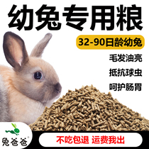 Rabbit Dad Young Rabbit Food Young Rabbit Special Rabbit Grain Rabbit Pet Rabbit Pet Small Rabbit feed 20 catty 10 catty of 5 catty anti cocks