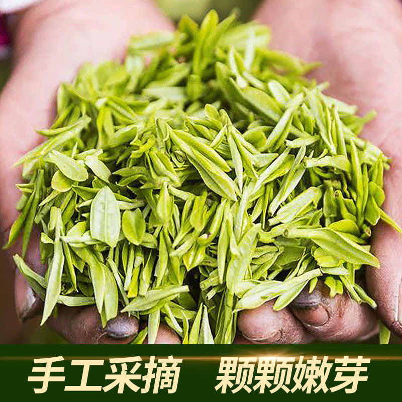 正宗安吉白茶新茶特级精品明前绿茶头采白茶正品浓香嫩芽袋装茶 - 图0