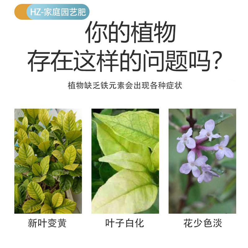 硫酸亚铁花肥料喜酸植物米兰栀子花茶花杜鹃桂花水溶肥防黄叶家用-图0