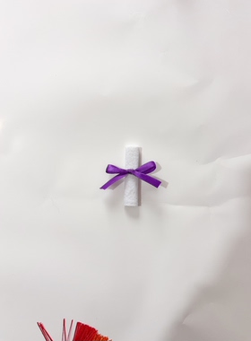 迷你小号学士帽毛绒娃娃宠物别针博士帽毕业证书毕业礼物配件花艺
