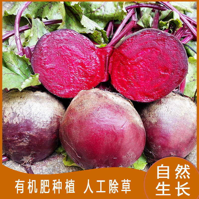 新鲜甜菜根 5斤 紫菜头 红菜头 红甜菜 农产品蔬菜 产地直发包邮 - 图0