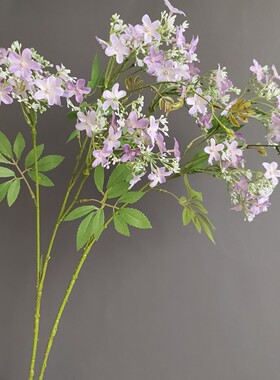 光影艺轩绢花夜来香单枝花