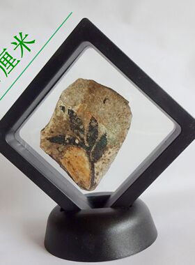 观赏收藏送给小朋友科普佳品