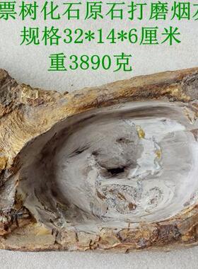 树化石烟灰缸化石观赏收藏实用