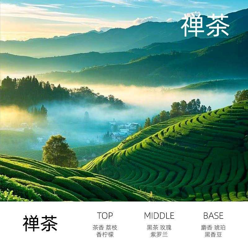 汽车载香水薰氛补充液蔚来香氛替换芯复合精油加湿器炉家用除味礼,淘宝优惠券,粉丝福利购,淘宝优惠卷