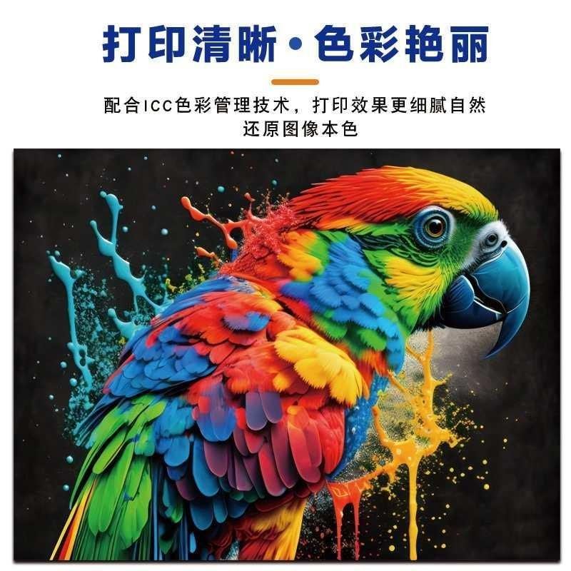 DTF彩色烫画打印机60CM高精度四头Epson喷头T恤衣服数码uv机,淘宝优惠券,粉丝福利购,淘宝优惠卷