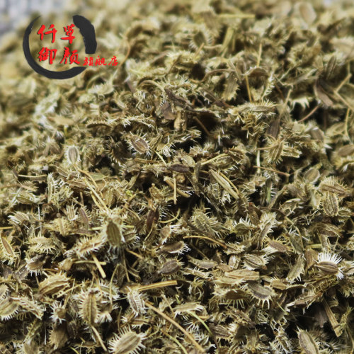 一斤包邮仟草御颜 鹤虱 500g 鹤虱草南鹤虱野萝卜籽非野生中药材 - 图3