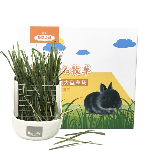Бесплатная доставка зеленая овсяная камея сечение кролика Тоторо Голландская свинина и пастырская трава вместо Timothyca Net Вес 500G