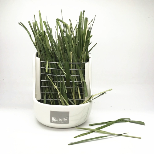 Бесплатная доставка зеленая овсяная камея сечение кролика Тоторо Голландская свинина и пастырская трава вместо Timothyca Net Вес 500G