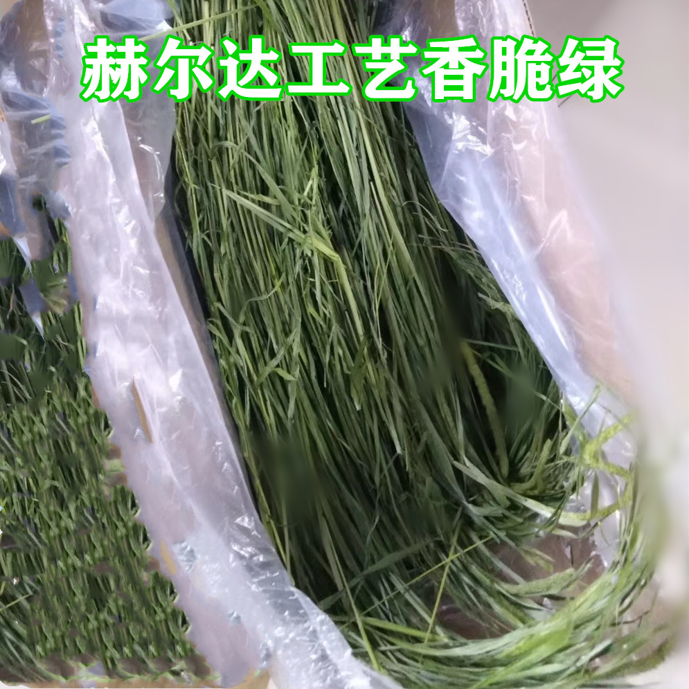 包邮 烘干赫尔达提摩西国提北提龙猫兔子荷兰猪天竺鼠牧草毛重1KG - 图1