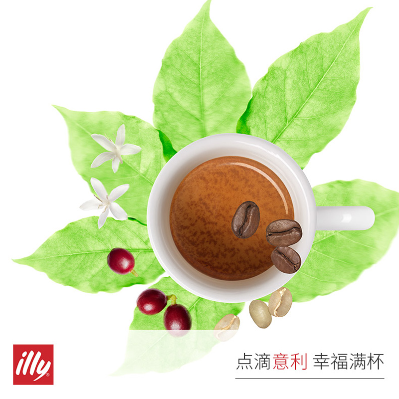 授权行货正品illy意利红罐咖啡豆意大利中度烘焙意式250g烘培熟豆-图0