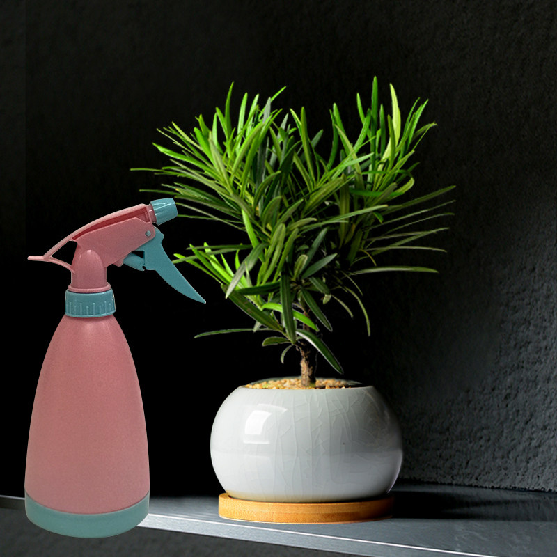 罗汉松老桩盆景桌面办公室盆栽吸甲醛植物盘栽办公桌室内花卉绿植,淘宝优惠券,粉丝福利购,淘宝优惠卷